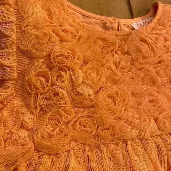 Toddler Tulle Peach Orange Shimmer Rosette Layered Pretty Party Dress NEW  2T - Picture 2 of 13